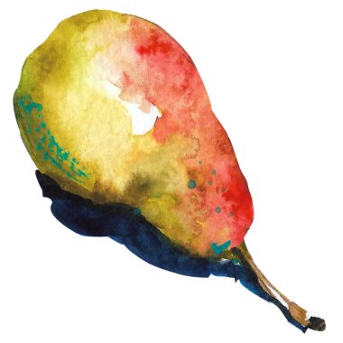 El çizimi Sarı Suluboya Armut. Suluboya gıda çizimi. Meyve ve sebzeler beyaz arka planda izole.