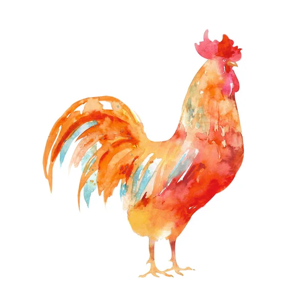 Akvarel Ilustrace Slepic Kohoutů Farma Pták Ilustrace Domácí Kuřata Ilustrace — Stock fotografie