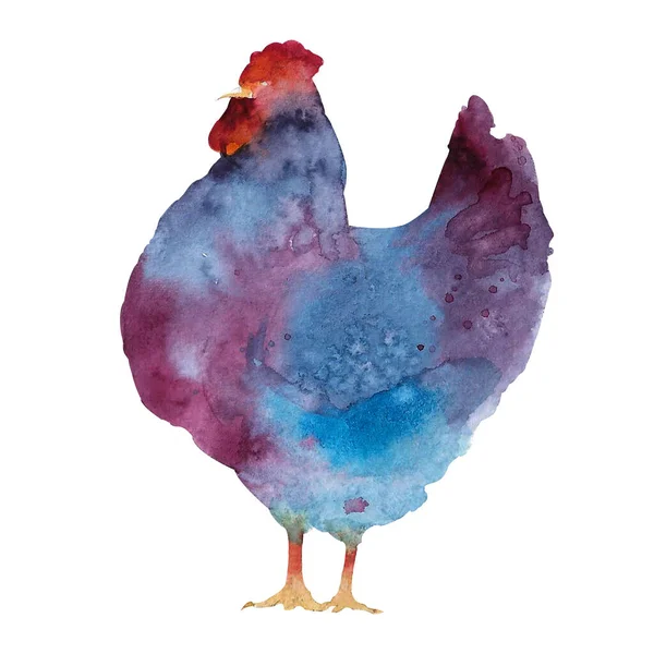 Akvarel Ilustrace Slepic Kohoutů Farma Pták Ilustrace Domácí Kuřata Ilustrace — Stock fotografie