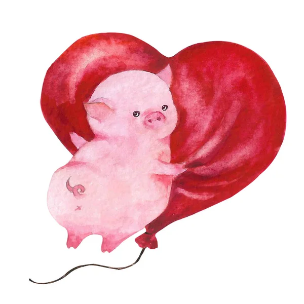 Akvarell Valentin Napi Malac Malacka Szív Léggömbbel Elszigetelt Fehér Rózsaszín — Stock Fotó