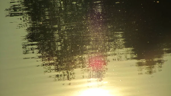 Reflexion Der Bäume Auf Dem Wasser Des Sees — Stockfoto