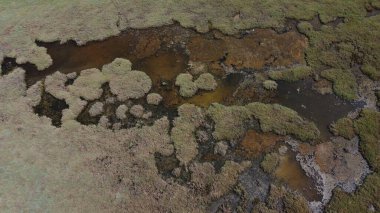 Acheloos 'un nehir delta halkları, hava aracı manzarası, Aitoloakarnania, Yunanistan