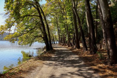 Kastoria City, Makedonya ve Yunanistan 'daki Orestiada Gölü göl yolu