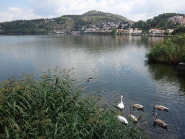 Kastoria kenti Orestiada Gölü, Makedonya, Yunanistan