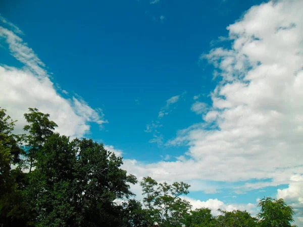 Bella Natura Cielo Blu Con Nuvole Bianche Albero Con Foglie — Foto Stock