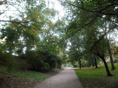 Yeşil yapraklı ve yeşil çimenli park