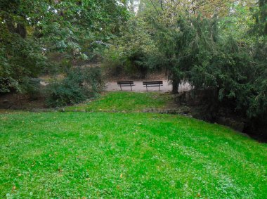 Yeşil yapraklı ve yeşil çimenli park