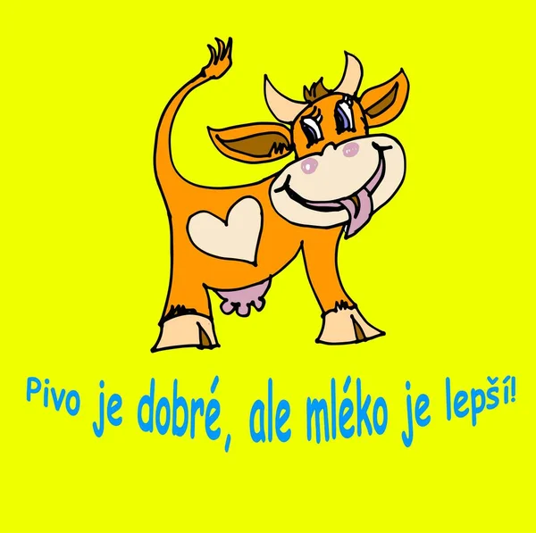 Funny Cow Slogan Czech Translated English Beer Good Milk Better — Zdjęcie stockowe