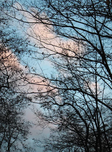 Красивый Закат Парке — стоковое фото