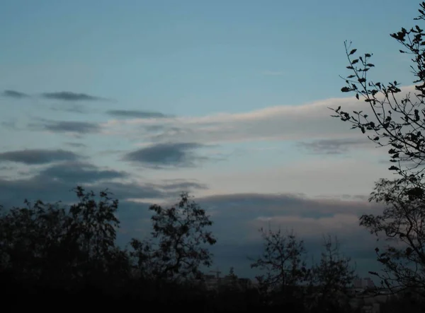 Beautiful Park Evening Sunset — Foto de Stock