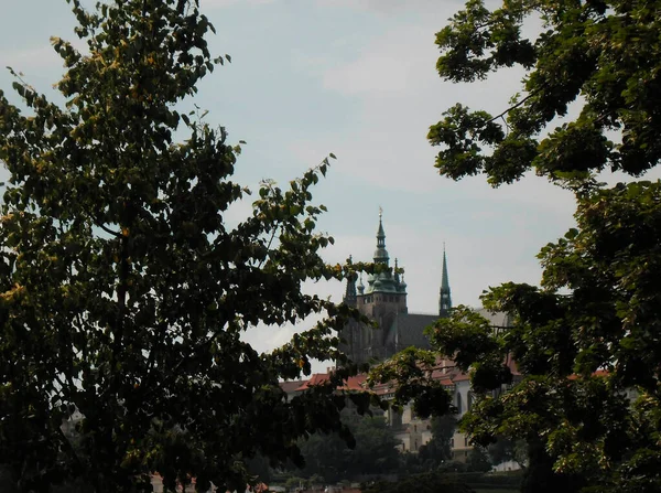 Beautiful Czech Castle Framed Green Trees — Stock Photo, Image