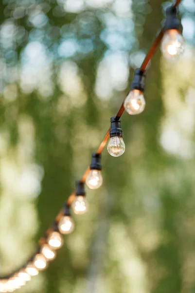 string wired with warming Light Bulbs hanging in the area of wedding events celebration.