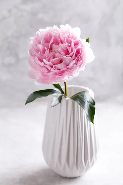 Hermosa Flor Peonía Rosa Jarrón Cerámica Blanca Color Pastel Vertical — Foto de Stock