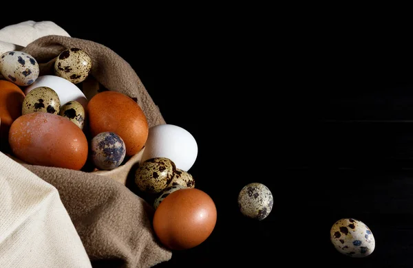 Huevos Pollo Codorniz Una Bolsa Sobre Fondo Negro Tecla Baja Imagen de archivo