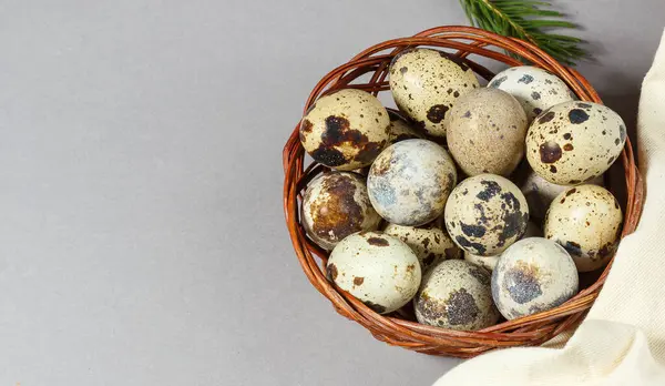 Taze bıldırcın yumurtası. Koyu ahşap arka planda taşra tarzı. Üst görünüm, gri arkaplanda yakın plan, seçici odak