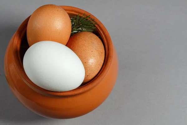 Gri arka planda bir tencerede taze tavuk yumurtası. Yakın çekim, kopyalama alanı, üst görüntü. Yumurtalı kil kap.