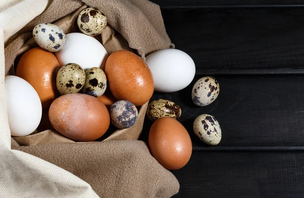 Algunos Huevos Pollo Fresco Marrón Blanco Varios Huevos Codorniz Pequeños Imágenes de stock libres de derechos