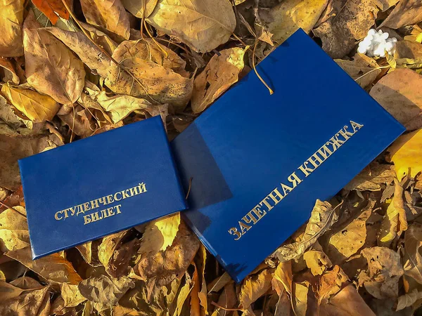 Üzerinde Rusça not defteri ve öğrenci kartı olan mavi bir kitap. Sonbahar yapraklarının arka planına karşı. Öğrenci günü. Tatyana Günü. Uzayı kopyala, odağını kaldır