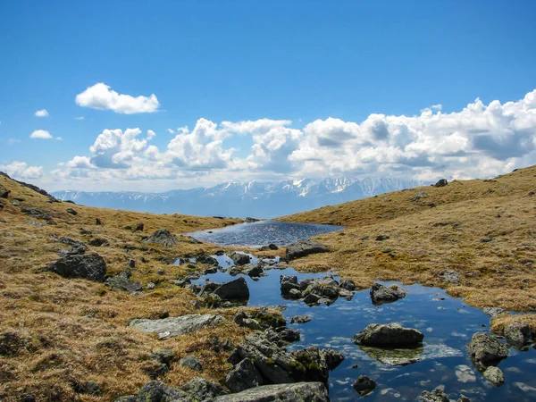 Altai Dağları. Güzel yaz manzarası. Ünlü turist eğlencesi. Kuzey Chuysky tepesinin manzarası. Kaynak, dağ nehrinin başlangıcı. seçici odak