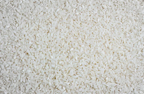 Makro Záběr Bílé Rýže Zblízka Záběr Rýžového Pozadí Syrová Rýže — Stock fotografie