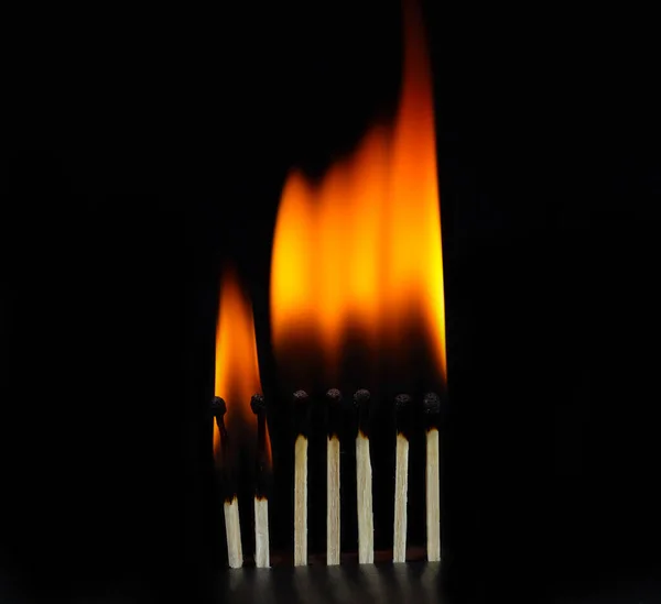 Siyah arkaplanda teker teker tutuşan kibritler. Kızıl saçlı kibrit çöpleri. Uzayı kopyala Uluslararası maç günü.