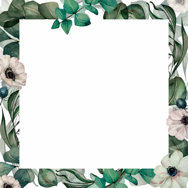 Flores brancas anêmona, folhas verdes quadro aquarela ilustração isolado no branco — Fotografia de Stock