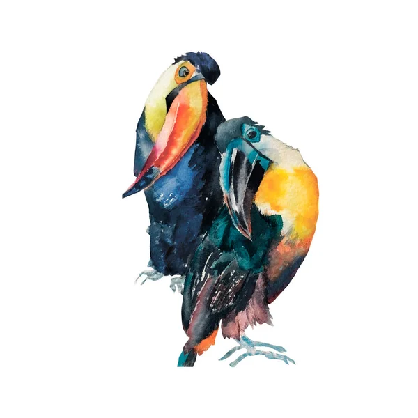 Tucans egzotikus trópusi madarak akvarell illusztráció elszigetelt fehér — Stock Fotó