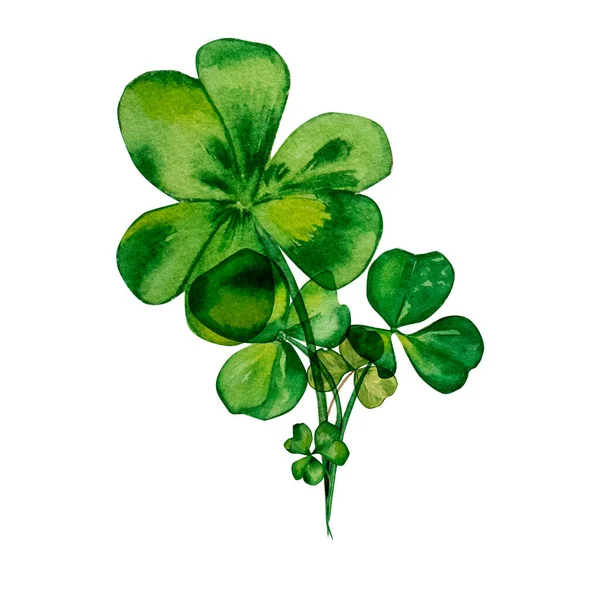 Zestaw Akwareli Shamrock Clover Kompozycja Białym Tle Ręcznie Malowane Ilustracje — Zdjęcie stockowe