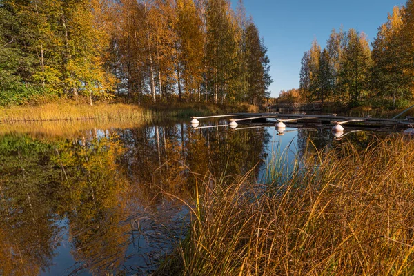 Herbstliche Landschaft See Und Die Reflexion Der Bäume Wasser Sonniger — Stockfoto