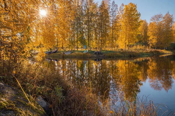 Осінній Пейзаж Біля Озера Відображення Дерев Воді Сонячний День — стокове фото