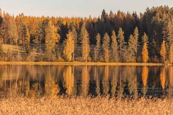 Paysage Automnal Bord Lac Reflet Des Arbres Dans Eau Journée — Photo