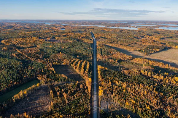 Finland, autumn landscape from the air with a drone, driving road, lakes and pine forest, on a sunny day