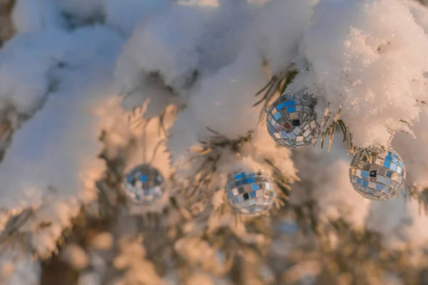 Christmas Toys Branch Snow Outdoors Christmas Concept Holidays Greeting Card — Stock Photo, Image