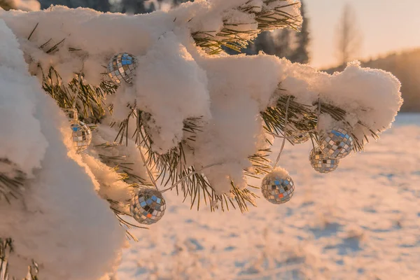 Christmas Toys Branch Snow Outdoors Christmas Concept Holidays Greeting Card — Fotografia de Stock