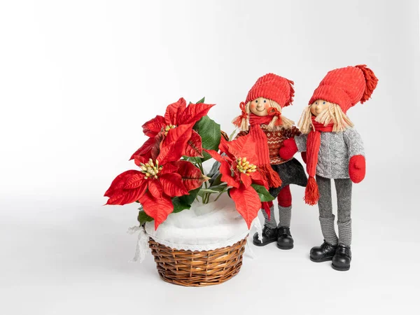 Muñeca Niña Niño Con Una Cesta Flores Estrella Navidad Concepto — Foto de Stock