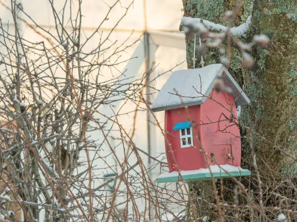 Vogelfutterhäuschen Form Eines Hauses Das Einem Baum Befestigt Ist Winter — Stockfoto