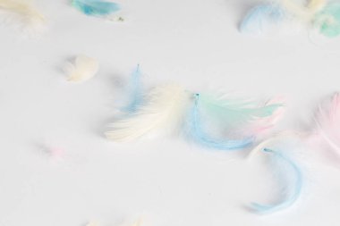 Beyaz arka planda, küçük renkli tüyler, metin için bir yer var. Üst görünüm Paskalya konsepti