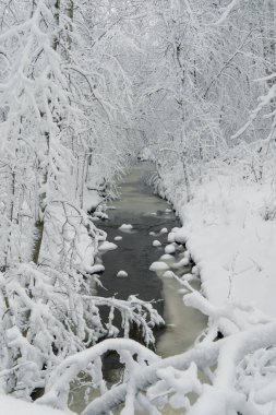 Ormanda, kışın akan suda, doğada akan nehirde. Karlı bir manzara. Finlandiya 'nın doğası, İskandinavya