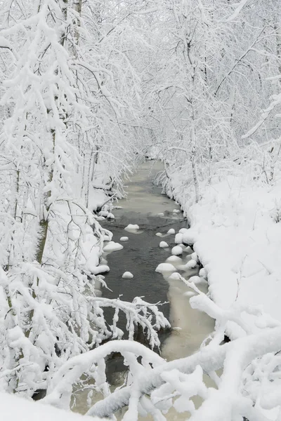 Córrego Floresta Inverno Água Corrente Rio Natureza Paisagem Nevada Natureza — Fotografia de Stock