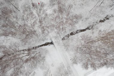Ormandaki hendeğin üzerinde köprü olan bir yol. Karlı, kış havası var. Finlandiya, Espoo, İskandinavya.