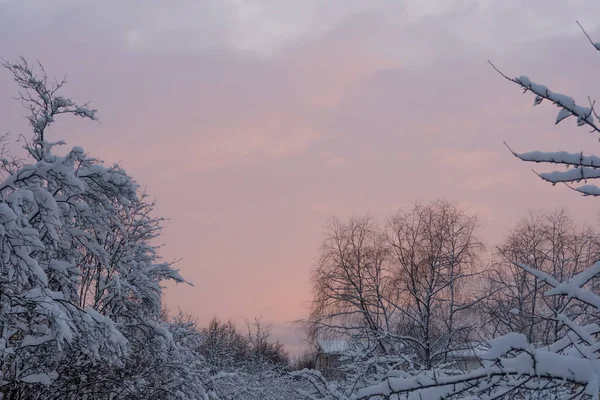 Winter Evening Landscape Nature Scandinavia Finland — Stock Photo, Image