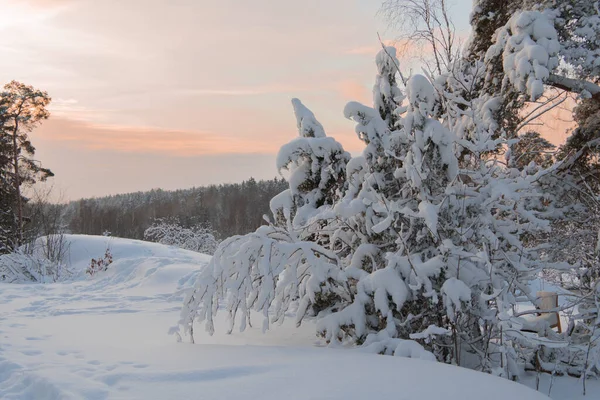 Zima Wieczorny Krajobraz Natura Skandynawii Finlandia — Zdjęcie stockowe