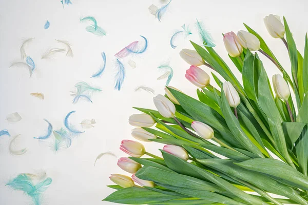 Rózsaszín Fehér Tulipánok Színes Tollak Háttér Világos Felülnézet Van Hely — Stock Fotó
