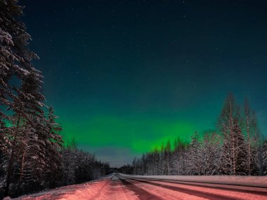 Yolun ve ormanın arka planında kuzey ışıkları var. Kutup gecesi. Finlandiya.