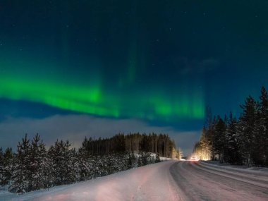 Yolun ve ormanın arka planında kuzey ışıkları var. Kutup gecesi. Finlandiya.
