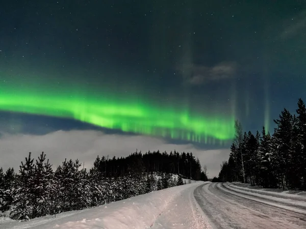 Światła Północne Tle Drogi Lasu Noc Polarna Finlandia — Zdjęcie stockowe