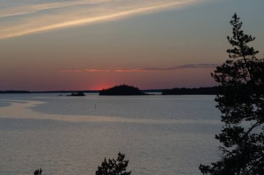 Denizde gün batımı, kayalar ve kuzey alçak çam ağaçları. Finlandiya doğası. Turku. Tatil, tatil, rahatlama konsepti
