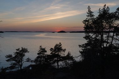 Denizde gün batımı, kayalar ve kuzey alçak çam ağaçları. Finlandiya doğası. Turku. Tatil, tatil, rahatlama konsepti