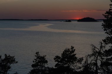 Denizde gün batımı, kayalar ve kuzey alçak çam ağaçları. Finlandiya doğası. Turku. Tatil, tatil, rahatlama konsepti