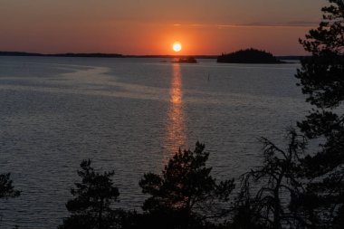 Denizde gün batımı, kayalar ve kuzey alçak çam ağaçları. Finlandiya doğası. Turku. Tatil, tatil, rahatlama konsepti